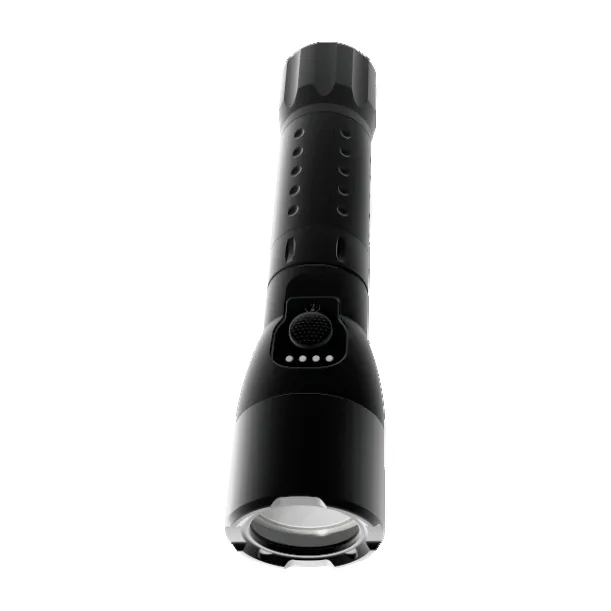 HZ7625 Flameproof + Intrinsically Safe Flashlight